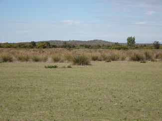 Rural / Farming commercial property for sale at Portion of Launer Road Eganu WA 6515 Rural / Farming commercial property for sale at Portion of Launer Road Eganu WA 6515