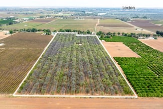 Rural / Farming commercial property for sale at Lot 1 Briers Road Loxton SA 5333 Rural / Farming commercial property for sale at Lot 1 Briers Road Loxton SA 5333