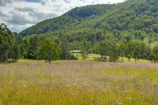 Rural / Farming commercial property for sale at 235 Curricabark Road, Rookhurst Via Gloucester NSW 2422 Rural / Farming commercial property for sale at 235 Curricabark Road, Rookhurst Via Gloucester NSW 2422