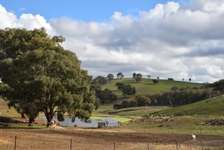 Rural / Farming commercial property for sale at 'Morella' 1257 Bundalah Road Euchareena NSW 2866 Rural / Farming commercial property for sale at 'Morella' 1257 Bundalah Road Euchareena NSW 2866