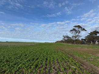 Rural / Farming commercial property for sale at 430 Fitzgerald Road Cummins SA 5631 Rural / Farming commercial property for sale at 430 Fitzgerald Road Cummins SA 5631