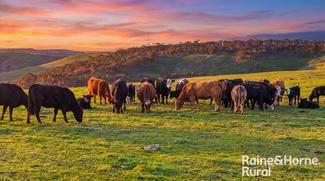 Rural / Farming commercial property for sale at 341 Wiles Firetrack Wistow SA 5251 Rural / Farming commercial property for sale at 341 Wiles Firetrack Wistow SA 5251
