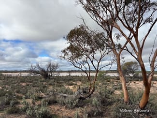 Rural / Farming commercial property for sale at 21 Goldfields Road (Baandee) Kellerberrin WA 6410 Rural / Farming commercial property for sale at 21 Goldfields Road (Baandee) Kellerberrin WA 6410