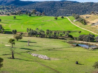 Rural / Farming commercial property for sale at 185 Trout Farm Road Wyangala NSW 2808