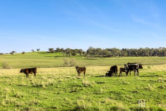 Rural / Farming commercial property for sale at 615 Old Mill Road Bylands VIC 3762 Rural / Farming commercial property for sale at 615 Old Mill Road Bylands VIC 3762