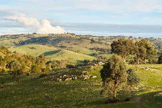 Rural / Farming commercial property for sale at 254 FERNHILLS ROAD Sheans Creek VIC 3666 Rural / Farming commercial property for sale at 254 FERNHILLS ROAD Sheans Creek VIC 3666
