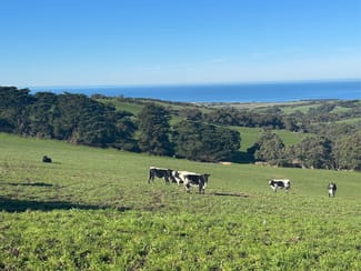 Rural / Farming commercial property for sale at 56 Mount Scrub Road Willow Creek SA 5211
