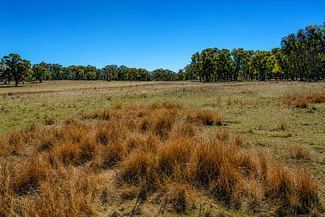 Rural / Farming commercial property for sale at 320 Cemetery Road Torrington NSW 2371 Rural / Farming commercial property for sale at 320 Cemetery Road Torrington NSW 2371