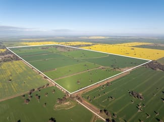 Rural / Farming commercial property for sale at 606 Yuba Road Savernake NSW 2646