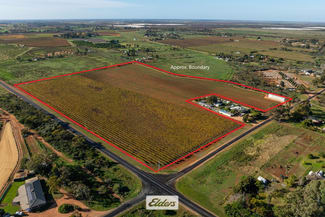 Rural / Farming commercial property for sale at Lot/2 Lowan Avenue Red Cliffs VIC 3496 Rural / Farming commercial property for sale at Lot/2 Lowan Avenue Red Cliffs VIC 3496