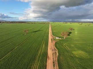 Rural / Farming commercial property for sale at Bongoola Mary Gilmore Way Bimbi NSW 2810