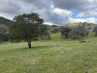Rural / Farming commercial property for sale at 736 UT Creek Road Alexandra VIC 3714