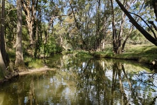 Rural / Farming commercial property for sale at 576 Lue Road Mudgee NSW 2850 Rural / Farming commercial property for sale at 576 Lue Road Mudgee NSW 2850