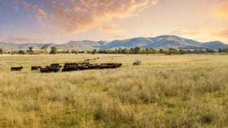 Rural / Farming commercial property for sale at 1150 Martindale Road Denman NSW 2328 Rural / Farming commercial property for sale at 1150 Martindale Road Denman NSW 2328
