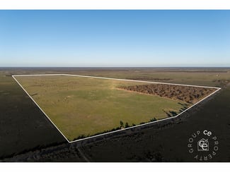 Rural / Farming commercial property for sale at Section 195 Halfway House Road Sandleton SA 5356