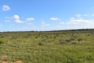 Rural / Farming commercial property for sale at Lot 158 Old Loxton Road Swan Reach SA 5354 Rural / Farming commercial property for sale at Lot 158 Old Loxton Road Swan Reach SA 5354