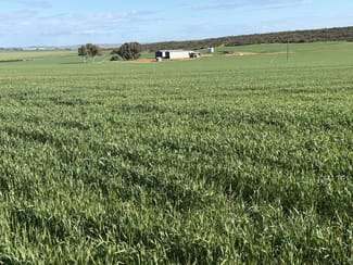 Rural / Farming commercial property for sale at Lot 9683 Walkaway-Nangetty Road Ellendale WA 6532