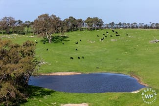 Rural / Farming commercial property for sale at Range Road Harrogate SA 5244