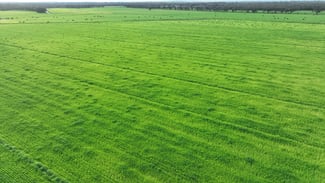 Rural / Farming commercial property for sale at 382 Sandy Bridge Road Barham NSW 2732 Rural / Farming commercial property for sale at 382 Sandy Bridge Road Barham NSW 2732