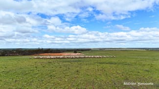 Rural / Farming commercial property for sale at Lot 1 Calzoni Road Woolocutty WA 6369 Rural / Farming commercial property for sale at Lot 1 Calzoni Road Woolocutty WA 6369