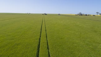 Rural / Farming commercial property for sale at 'Sims' Section 87N Rickaby Road Minlaton SA 5575