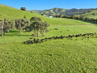 Rural / Farming commercial property for sale at 71-79 Ti Tree Creek Road Yea VIC 3717 Rural / Farming commercial property for sale at 71-79 Ti Tree Creek Road Yea VIC 3717