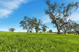 Rural / Farming commercial property for sale at 9091 Mitchell Highway Wellington NSW 2820 Rural / Farming commercial property for sale at 9091 Mitchell Highway Wellington NSW 2820