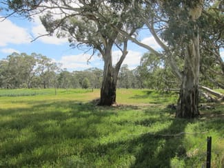 Rural / Farming commercial property sold at Sec 2994 Research Road Nuriootpa SA 5355 Rural / Farming commercial property sold at Sec 2994 Research Road Nuriootpa SA 5355