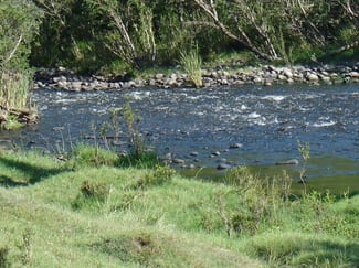 Rural / Farming commercial property sold at 1252 Tabulam Rd Tabulam NSW 2469