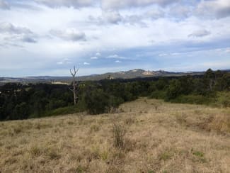 Rural / Farming commercial property sold at 640 Pine Brush Rd Clarence Town NSW 2321 Rural / Farming commercial property sold at 640 Pine Brush Rd Clarence Town NSW 2321