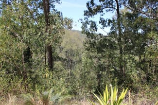 Rural / Farming commercial property sold at Mount George NSW 2424