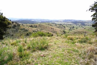 Rural / Farming commercial property sold at Firefly NSW 2429 Rural / Farming commercial property sold at Firefly NSW 2429