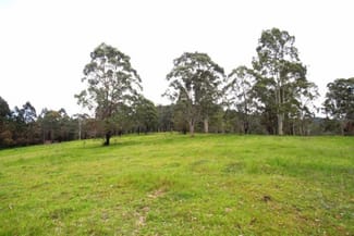Rural / Farming commercial property sold at Wingham NSW 2429