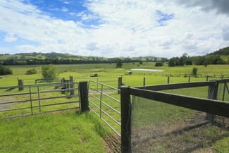 Rural / Farming commercial property sold at 1590 Fosterton Road Dungog NSW 2420 Rural / Farming commercial property sold at 1590 Fosterton Road Dungog NSW 2420