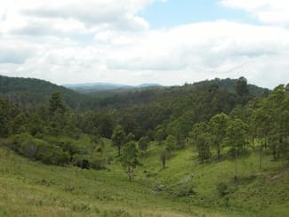 Rural / Farming commercial property sold at Elands NSW 2429 Rural / Farming commercial property sold at Elands NSW 2429