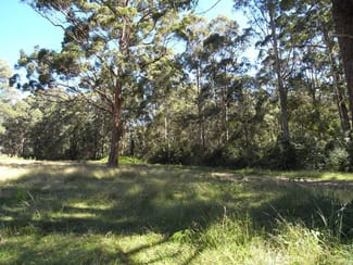 Rural / Farming commercial property sold at Wherrol Flat NSW 2429 Rural / Farming commercial property sold at Wherrol Flat NSW 2429