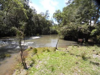 Rural / Farming commercial property sold at Elands NSW 2429 Rural / Farming commercial property sold at Elands NSW 2429