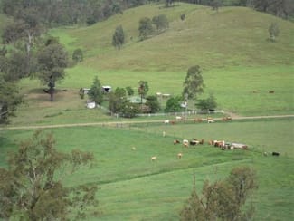 Rural / Farming commercial property sold at 218 Camp Creek Rd, Running Creek Beaudesert QLD 4285