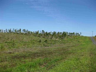 Rural / Farming commercial property sold at EX FORESTRY Innisfail QLD 4860 Rural / Farming commercial property sold at EX FORESTRY Innisfail QLD 4860