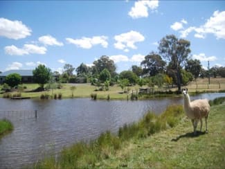 Rural / Farming commercial property sold at 3514 Olympic Highway Bethungra NSW 2590 Rural / Farming commercial property sold at 3514 Olympic Highway Bethungra NSW 2590