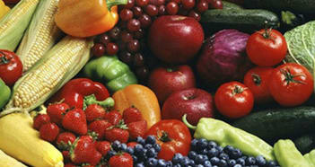 Home & Garden Business in Melbourne