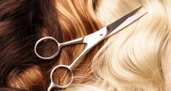 Beauty Salon Business in Flemington