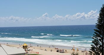 Management Rights Business in Surfers Paradise