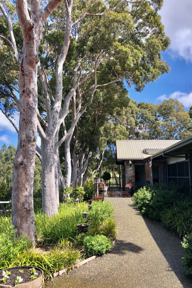 356 Shands Road Main Ridge VIC 3928