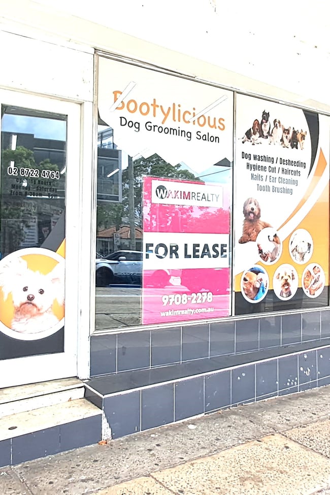 1428 Canterbury rd Punchbowl NSW 2196