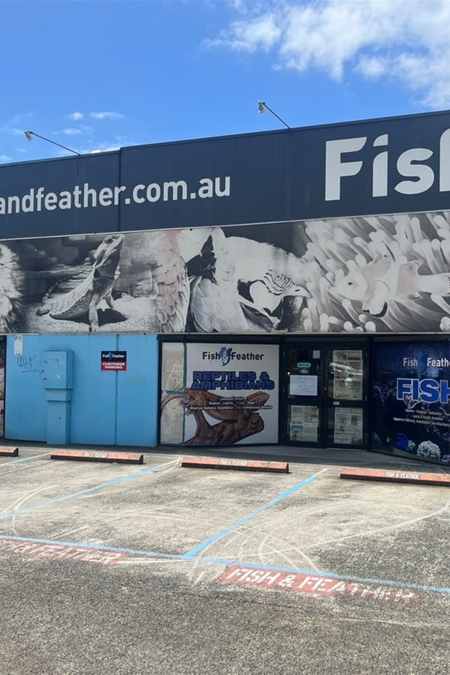 243 Colchester Road Kilsyth VIC 3137