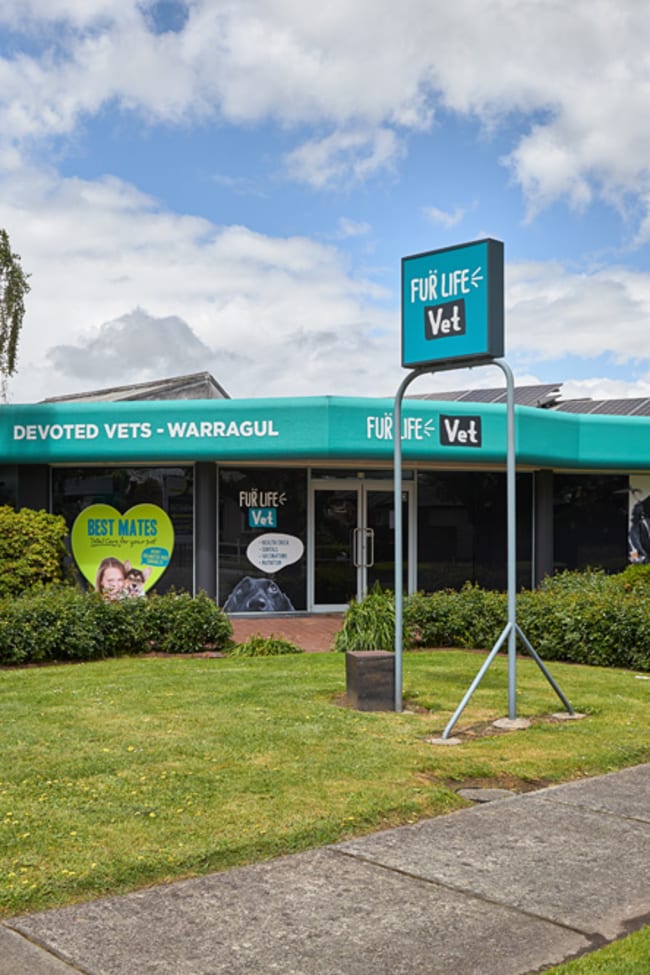 1/12 Normanby Street Warragul VIC 3820