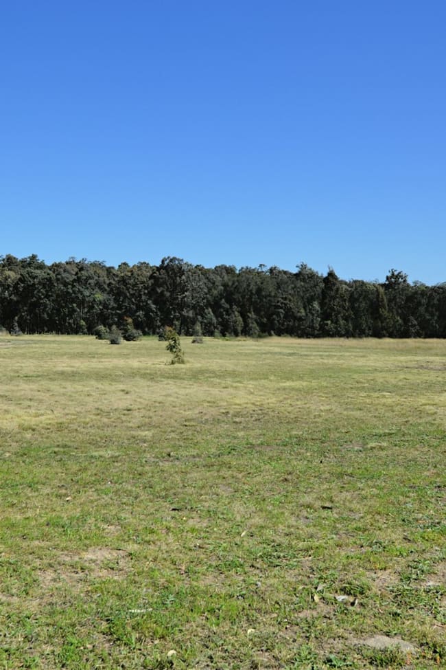 9 Rosedale Close Singleton NSW 2330
