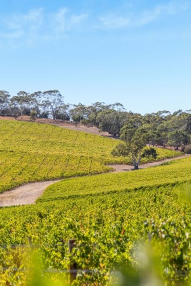 Hahndorf SA 5245
