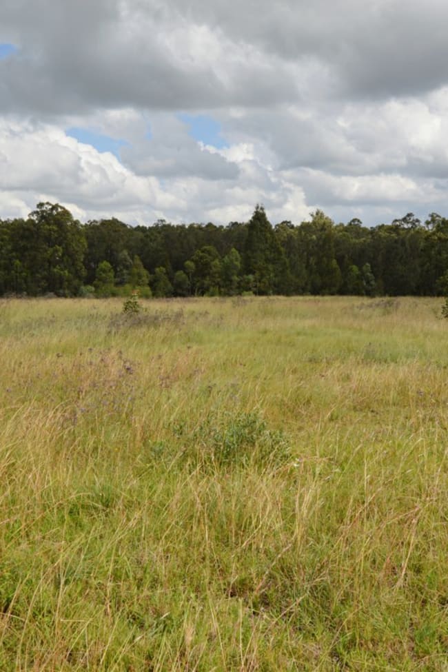 11 Rosedale Close Singleton NSW 2330